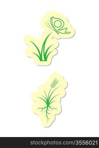 Vector Illustration of Plant Icons on White Background