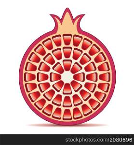 vector illustration of pomegranate