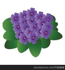 Vector illustration of purple violet flowers with green leafs on white background.