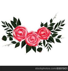 Vector illustration of ranunculus flower. Background with pink flowers. Vector ranunculus flower