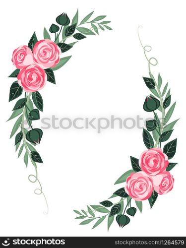 Vector illustration of ranunculus flower. Decoration of flowers on a background. Floral invitations. Vector ranunculus flower