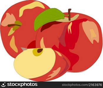 Vector illustration of red apple