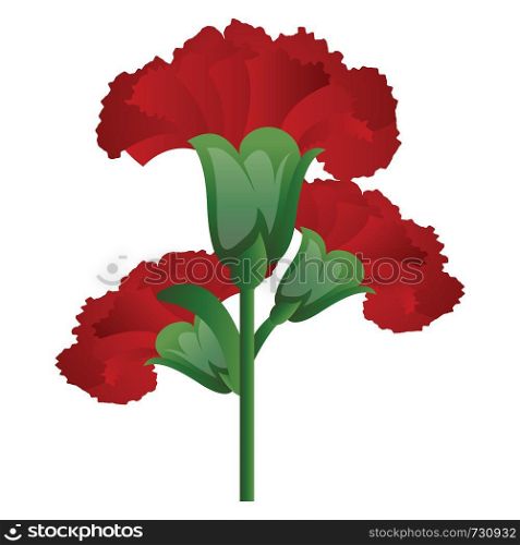 Vector illustration of red carnation flowers on white background.