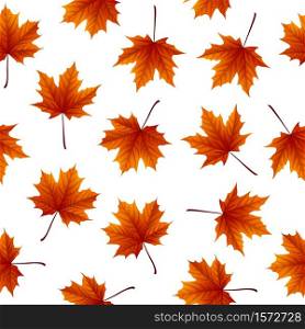 Vector illustration of Red maple leaves isolated on white background