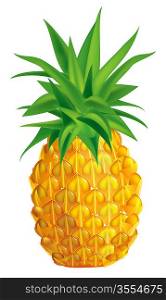Vector illustration of ripe pineapple