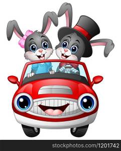 Vector illustration of Romantic couples cartoon rabbit driving a car
