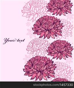 Vector illustration of seamless pattern with hand drawn chrysanthemums