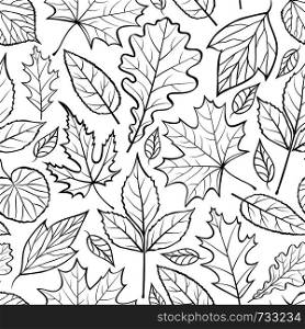 Vector illustration of seamless pattern with leaves on white backround