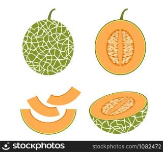 Vector illustration of set fresh Cantaloupe melon isolated on white background