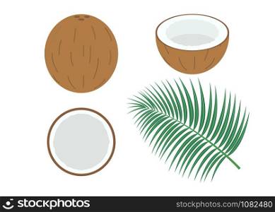 Vector illustration of set fresh coconut isolated on white background