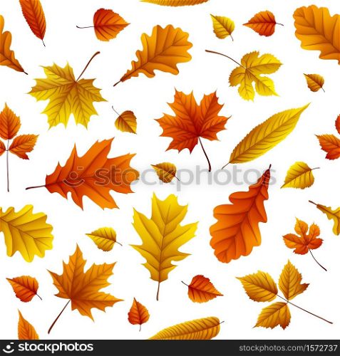 Vector illustration of Set of autumn leaves isolated on white background