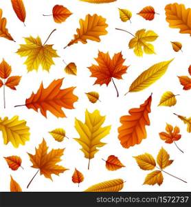 Vector illustration of Set of autumn leaves isolated on white background
