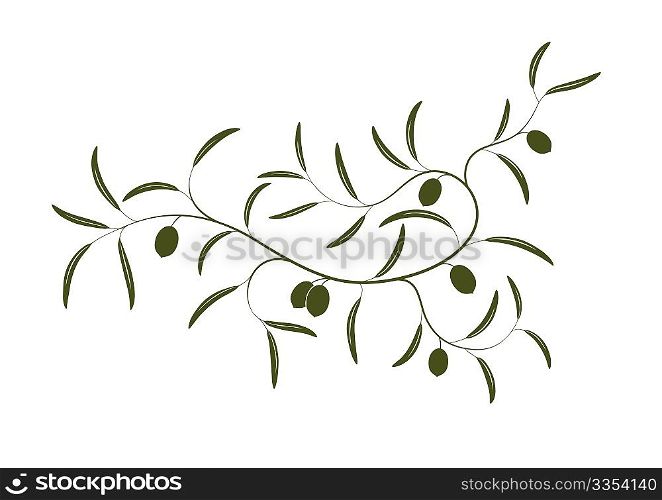 Vector illustration of simple Olive branch three with green olives