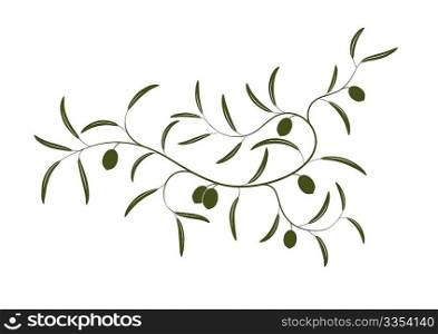 Vector illustration of simple Olive branch three with green olives