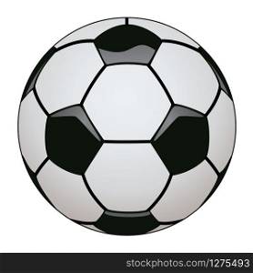 vector illustration of soccer ball