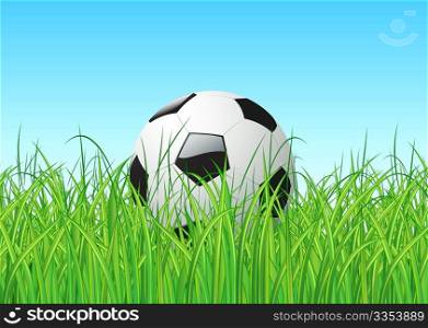 Vector illustration of soccer ball in the grass