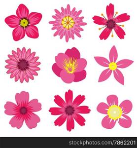 Vector illustration of Spring Flowers