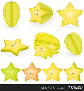 Vector illustration of starfruit