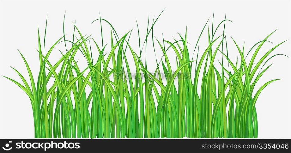 Vector illustration of Straight forward green grassy field