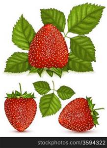 Vector illustration of strawberries with leaves.