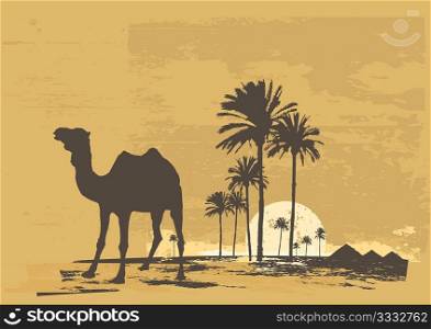 Vector illustration of sunset in african desert. Camel and palms on grunge background