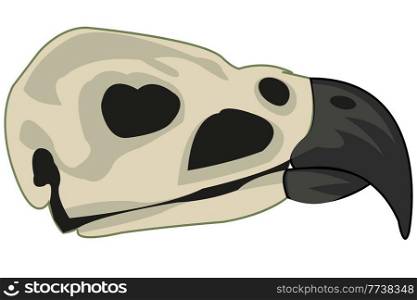 Vector illustration of the cartoon of the skull of the bird. Skull of the bird on white background is insulated