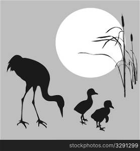vector illustration of the crane with nestling on background sun