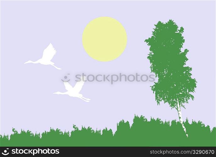 vector illustration of the cranes