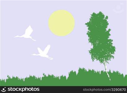 vector illustration of the cranes