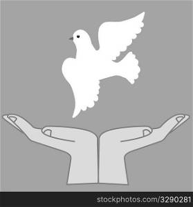 vector illustration of the dove in hand