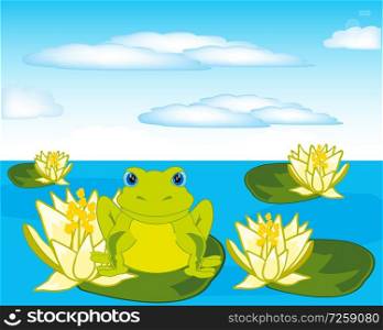 Vector illustration of the frog sitting on water lily. Frog sits on water lily in pond