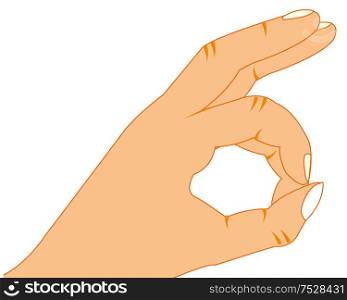 Vector illustration of the hand of the person showing finger circle. Hand of the person finger shows circle