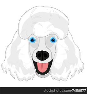 Vector illustration of the mug of the dog of the sort poodle cartoon. Dog poodle mug on white background is insulated