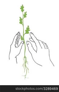 vector illustration of the plants in hand