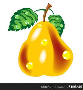 Vector illustration of the ripe pear on white background. Ripe pear