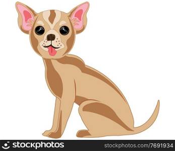 Vector illustration of the small decorative dog of the sort chihuahua. Decorative dog chihuahua on white background is insulated