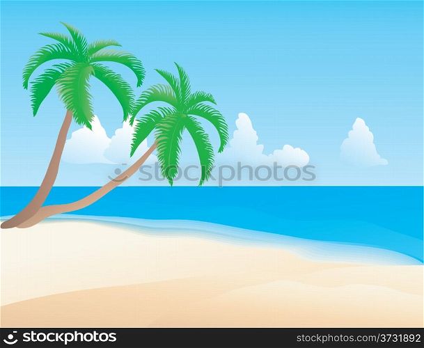 Vector illustration of the tropical beach.