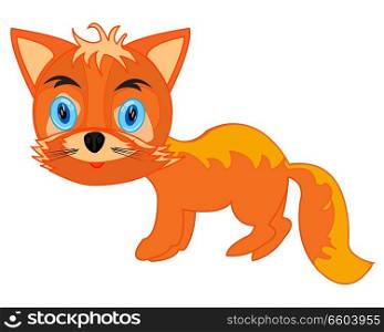 Vector illustration of the wildlife fox on white background. Wildlife fox on white background is insulated