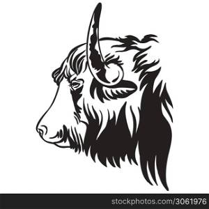 Vector illustration of Tibetan Yak in black color isolated on white background. Engraving template image of bull in profile. Design element for poster, t shirt, emblem, logo, sign.. Decorative contour portrait of bull in profile