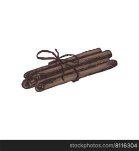 Vector illustration of tied cinnamon sticks drawn by hand. Cinnamon is a New Year’s seasoning, aromatic spice.