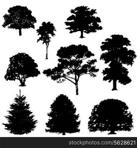 Vector illustration of tree silhouettes. EPS 10.