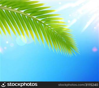 Vector illustration of tropical summer background palm tree leaf