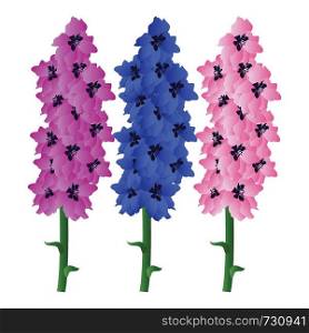 Vector illustration of violet blue and pink delphinium flowers with green leafs on white background.