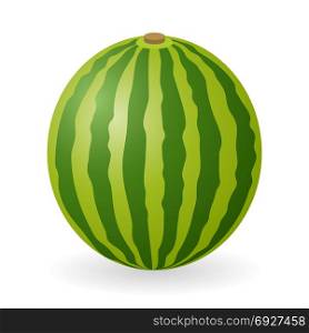 Vector illustration of watermelon isolated on white background. Watermelon vector isolated