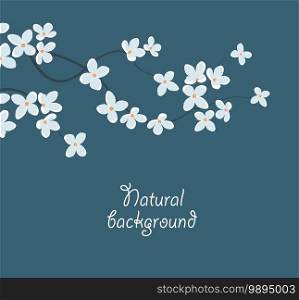 Vector illustration of white flowers. Natural background with branch decoration with flowers. Branch decoration with flowers