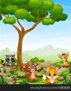 Vector illustration of Wild animal cartoon in the jungle