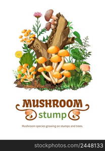 Vector illustration of wild mushroom species growing on stumps and trees with honey fungus shiitake and forest flowers in cartoon style. Wild Mushroom Species Growing On Stump