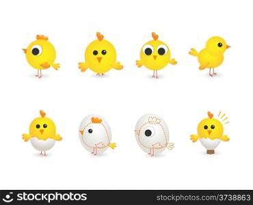 Vector illustration of yellow chickens
