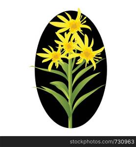 Vector illustration of yellow solidago flowers with green leafs in black circle on white background.
