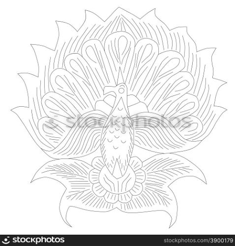 Vector illustration peacock isolated on white background